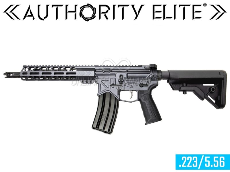 AUTHORITY ELITE Short Barrel Rifle 2