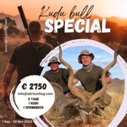 Kudu Bull Special