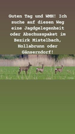 Guten Tag und WMH! Ich suche auf diesen Weg eine Jagdgelegenheit oder Abschusspaket im Bezirk Mistelbach, Hollabrunn oder Gänserndorf!