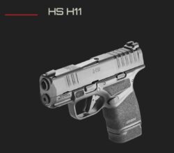 HS H11